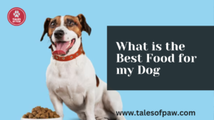 what is the best dog food for my dog