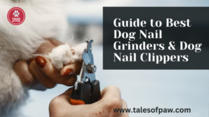 Guide to Best Dog Nail Grinders and Dog nail clippers