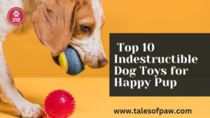 Top 10 indestructible dog toys for happy pup
