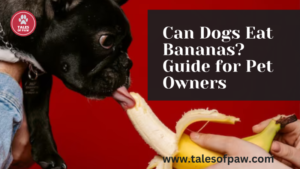 can dogs eat bananas everyday , can dogs eat bananas peels, can dogs eat bananas and strawberry ,